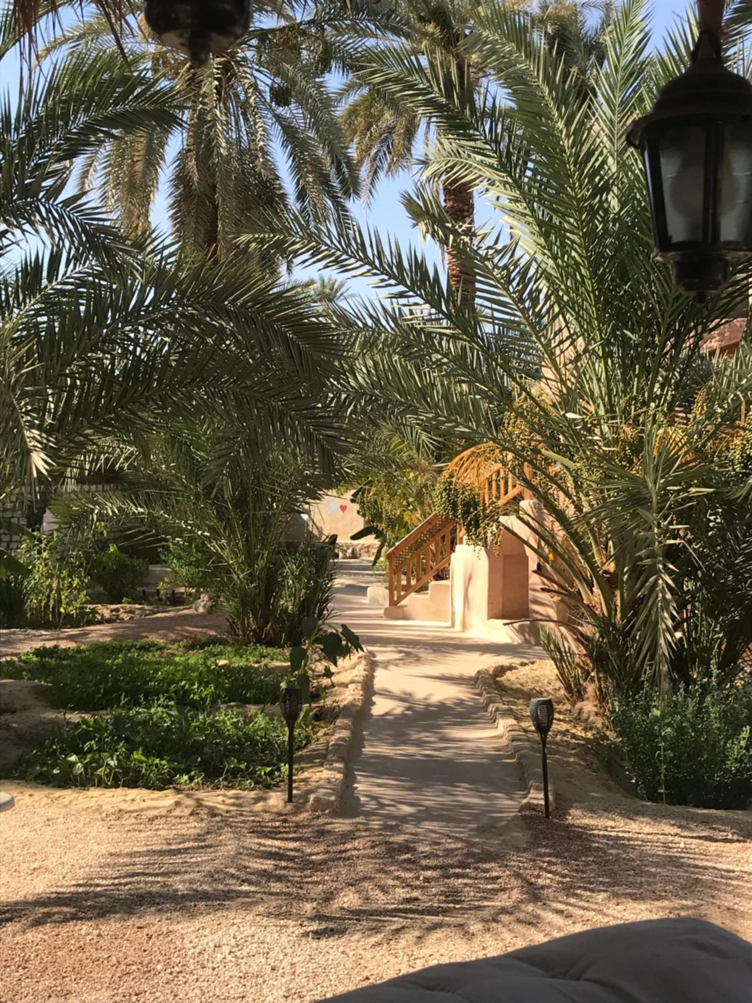 Siwa Spot Lägenhet Siwa Oasis Exteriör bild