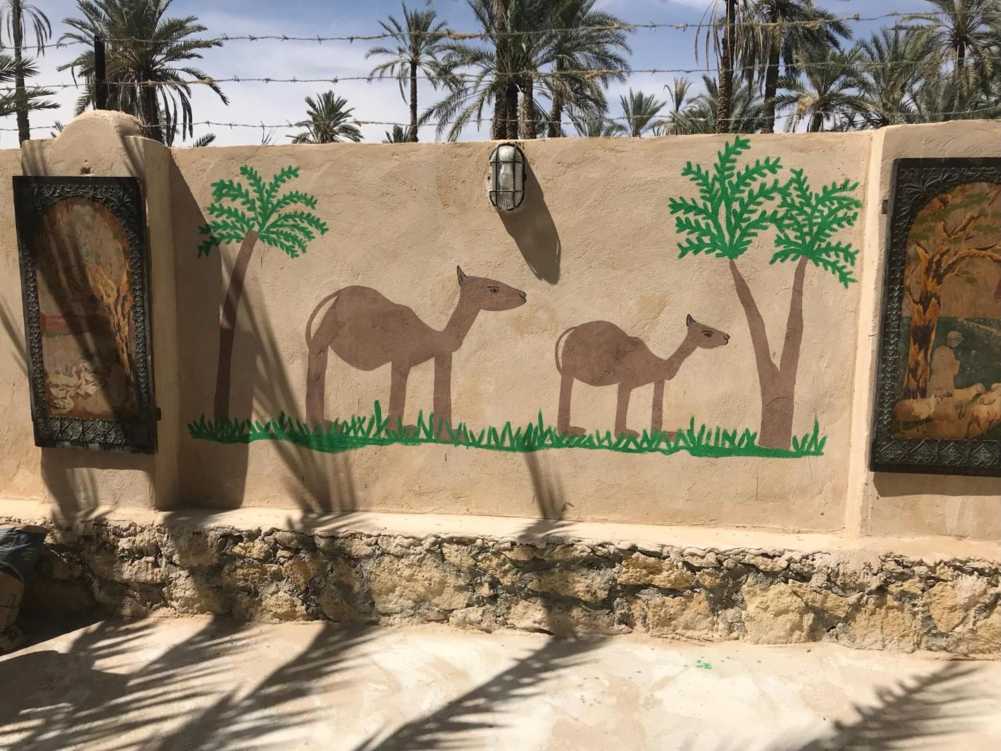 Siwa Spot Lägenhet Siwa Oasis Exteriör bild